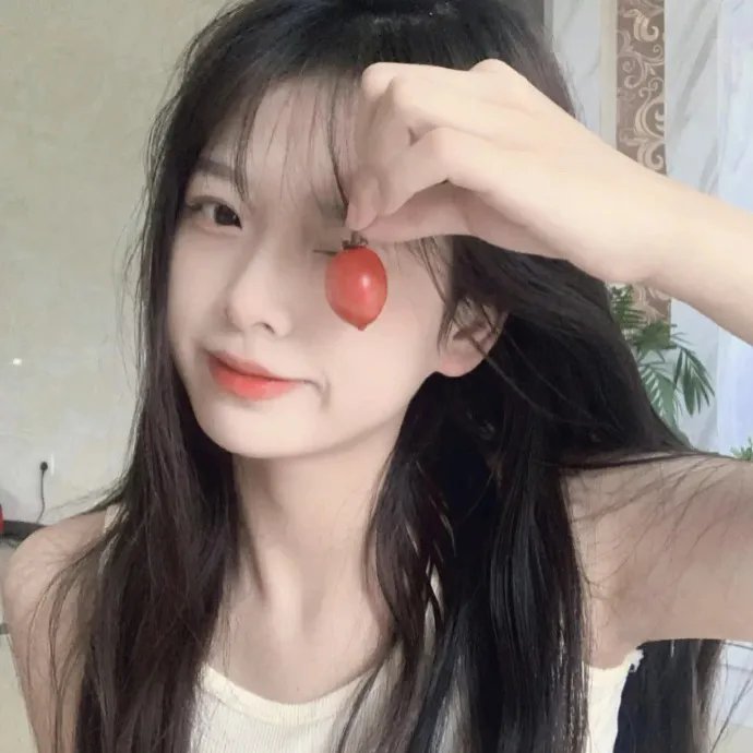 登月先锋
